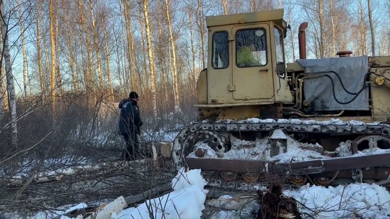 Бульдозер ЧТЗ Т130 Т170 работа в делянке.