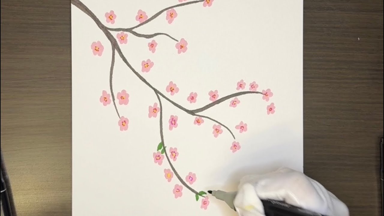 Cherry Blossom 