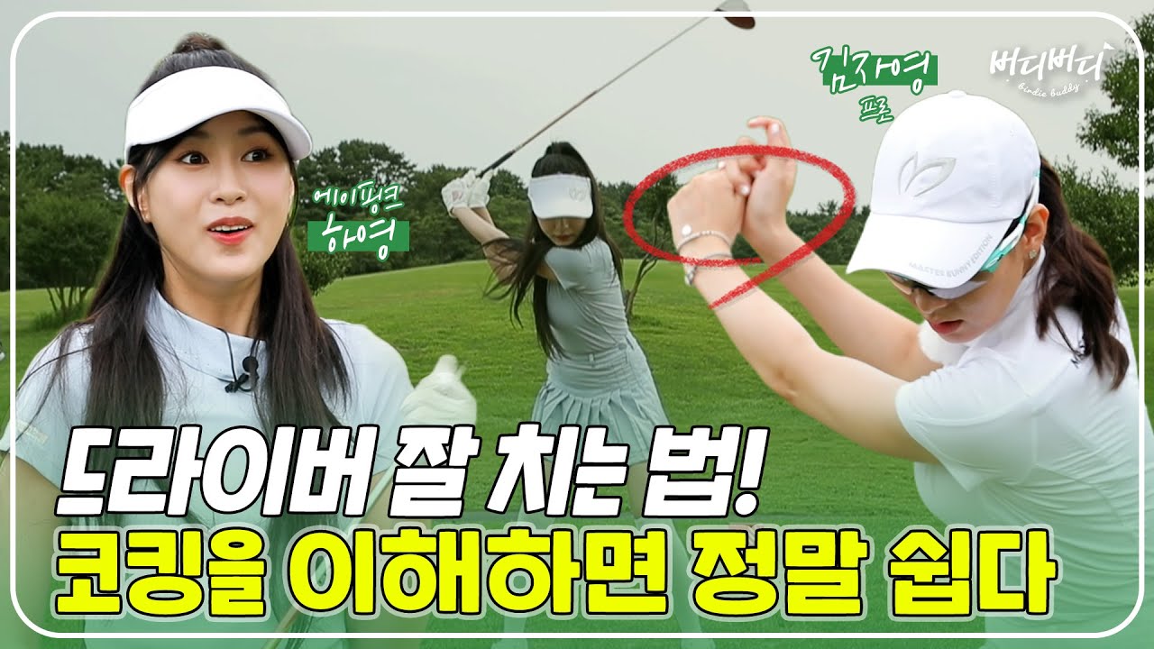 드라이버 샷의 모든 것! 티위치, 얼라인먼트, 코킹까지 이보다 쉬울 수 없다 / 버디버디