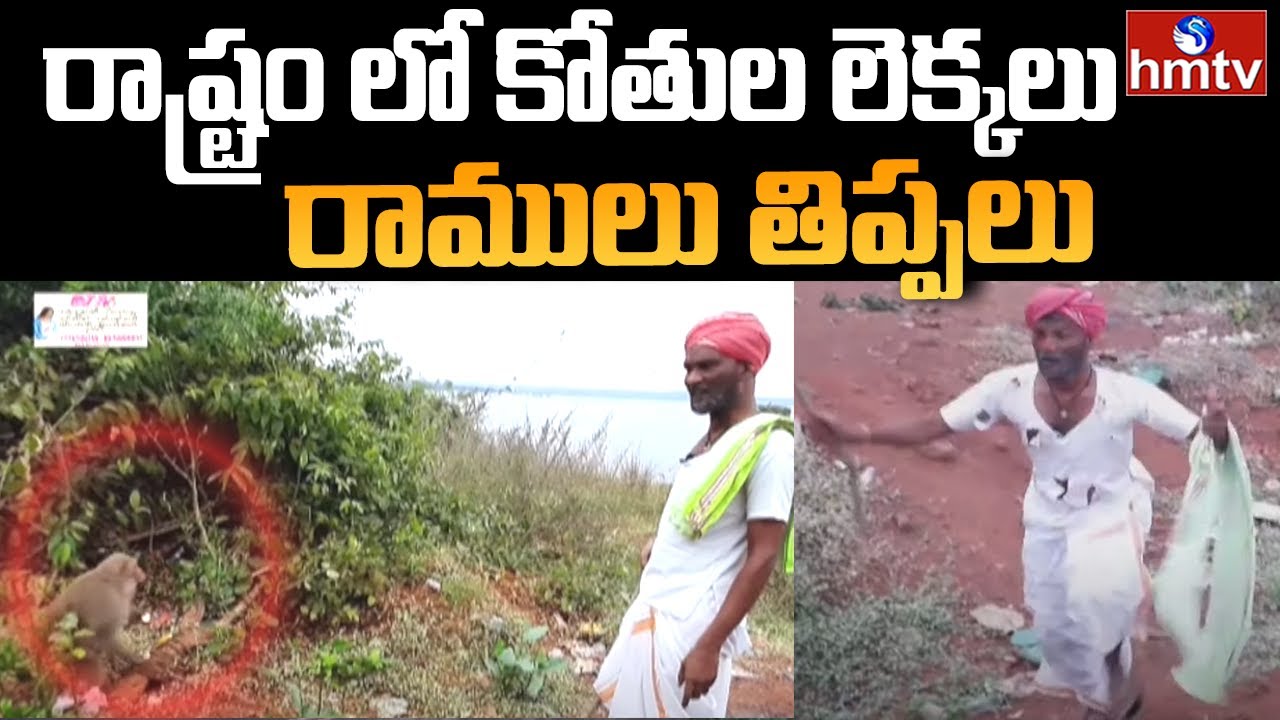 కోతుల లెక్కలు తీస్తున్న రాములు | Jordar Ramulu | Jordar News | hmtv