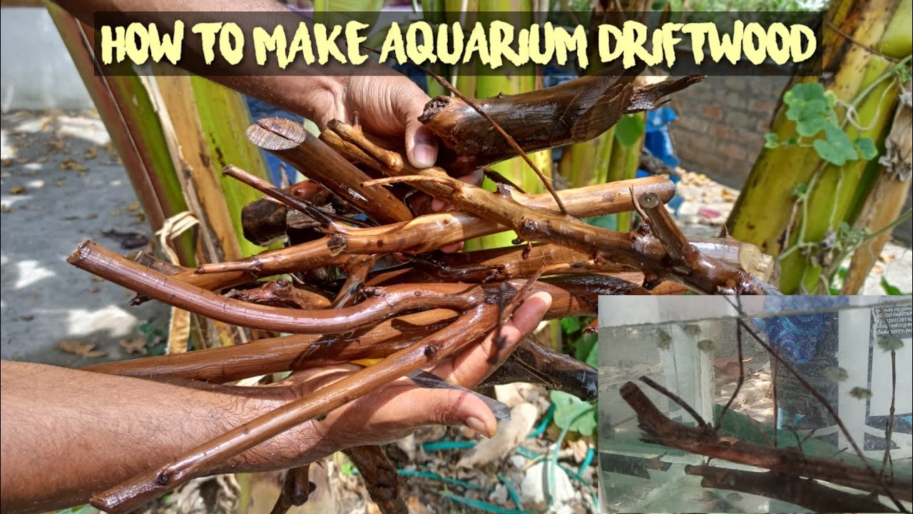 How to make driftwood 🪵 for aquarium in தமிழ் ( It's uses ) || home of pets
