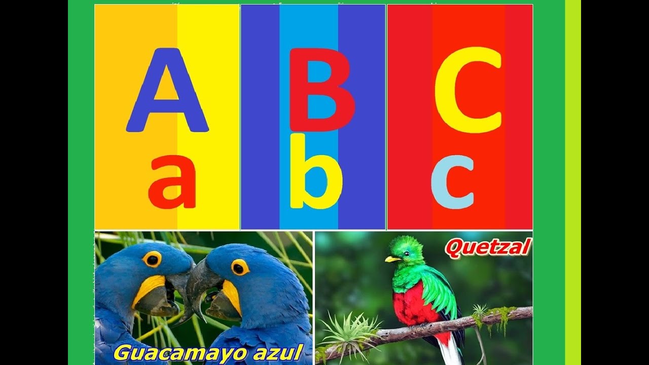 Abecedario español  I  Abecedario de las Aves