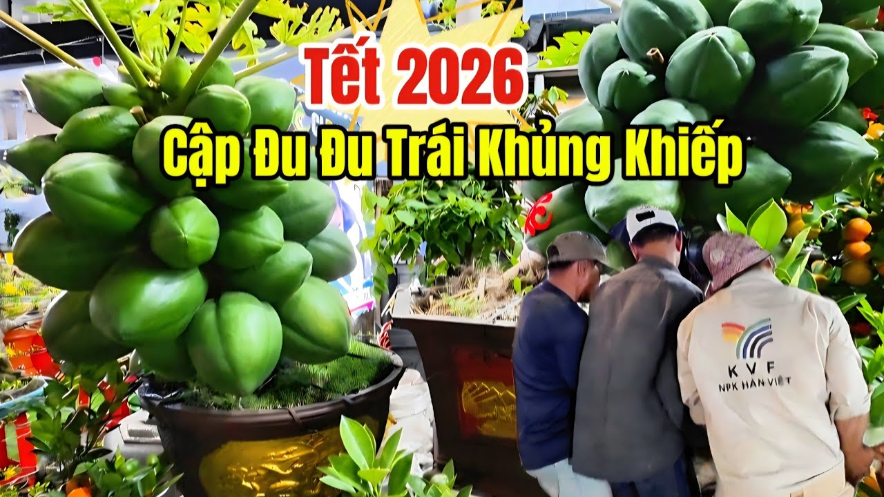 26 Tết Đường Hoa Bắc Hải Quận 10 Tấp Nập Người Mua 