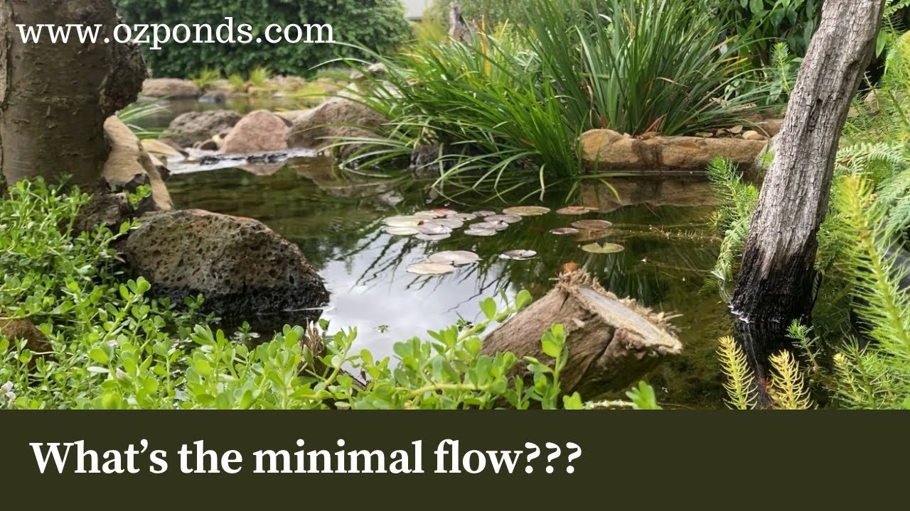 What is the minimum flow rate for a bog filter?