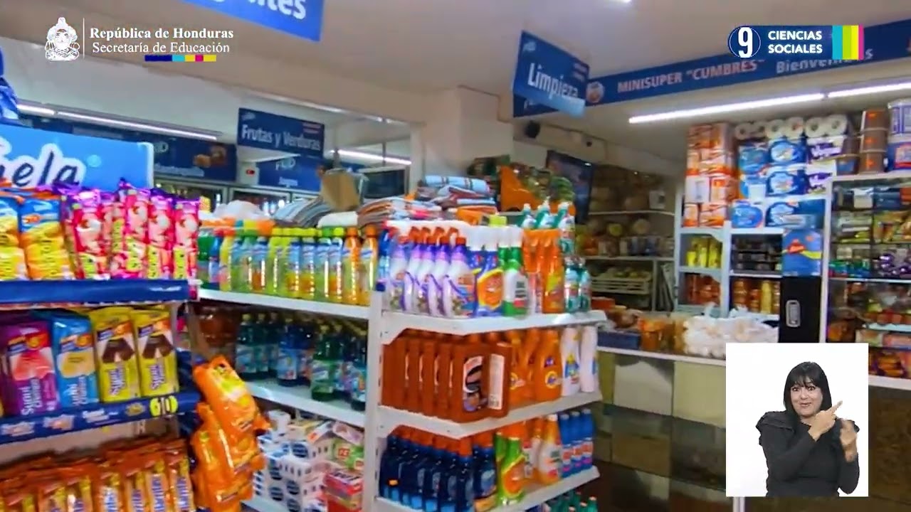 Economía y sus sectores #23, 9º Ciencias Sociales con LESHO