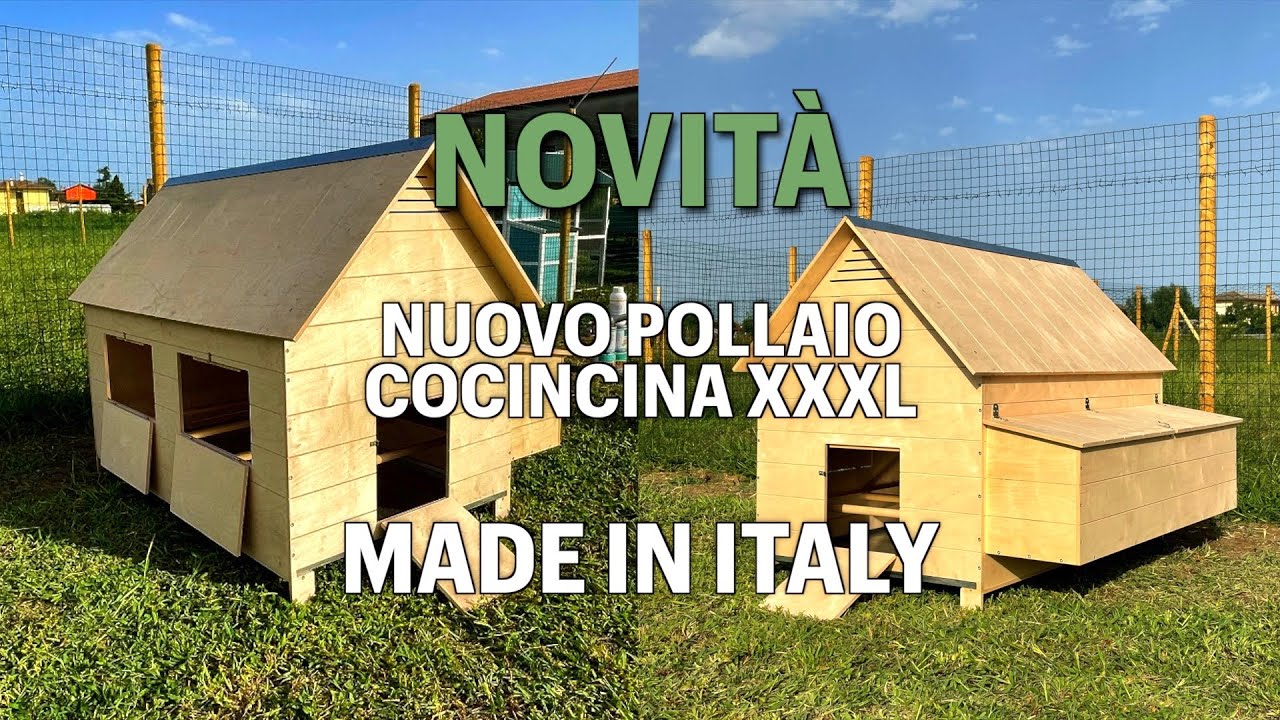 Nuovo pollaio Made in Italy Cocincina XXXL