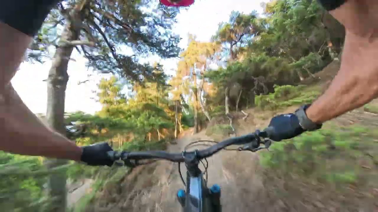 Πάρνηθα  MTB -  Άνω  Τρούφα / Κάτω Τρούφα  - Τελευταίος των Μοϊκανών  - Κορομηλιά