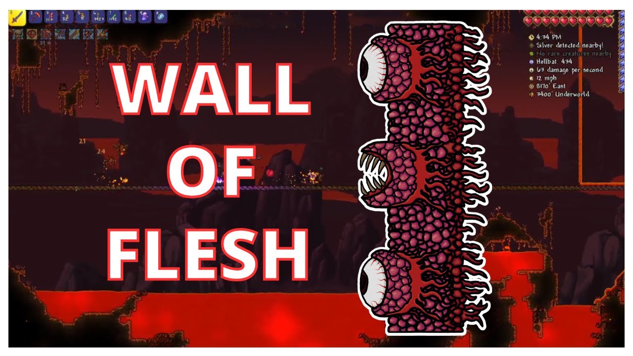 Wall of Flesh Boss Fight | Terraria | Master Mode