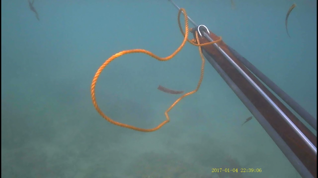 spearfishing in boardwalk Tanjay City by renan zerna