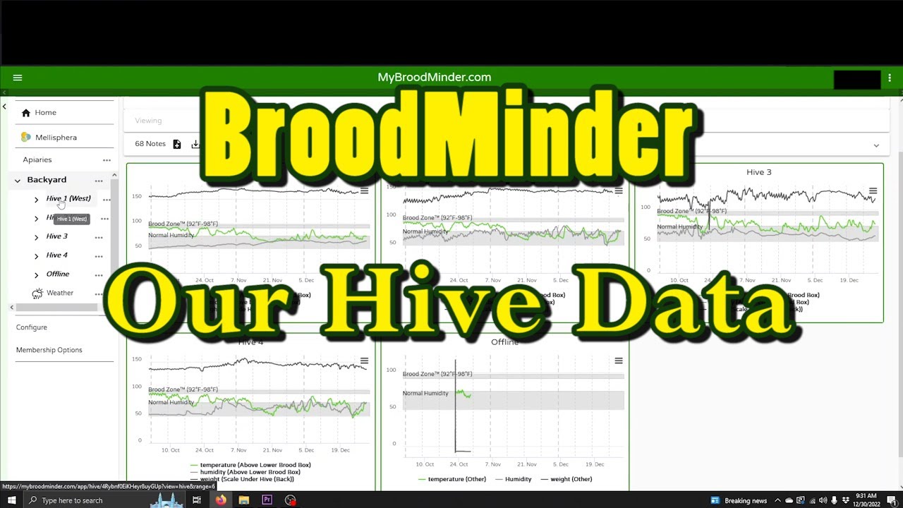 ❷ What information can you see with BroodMinder Sensors?