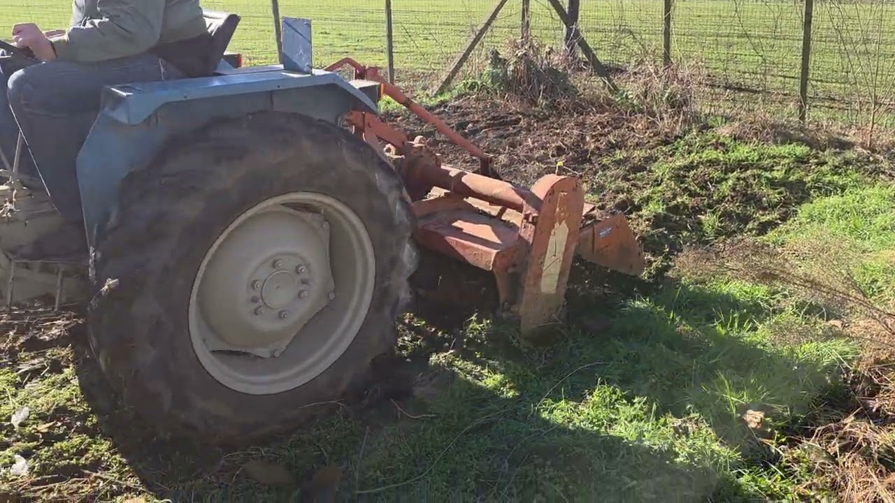 Landini R5000 che fresa la terra con fresa vigolo