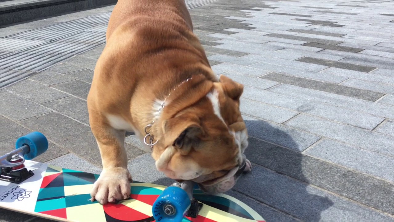 Victor's skateboarding skills causing a stir at east Belfast's C.S. Lewis square