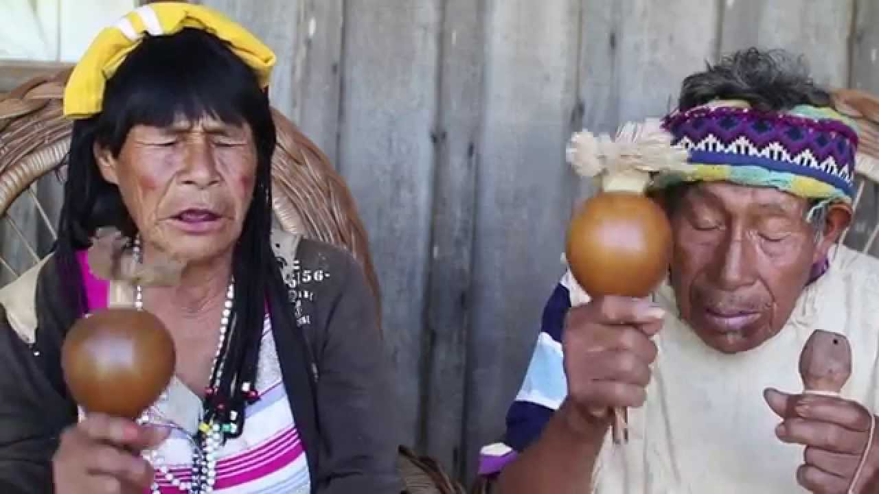 Pai Tavytera Music : Che túa, Pai Tavytera song from Amambay, Paraguay