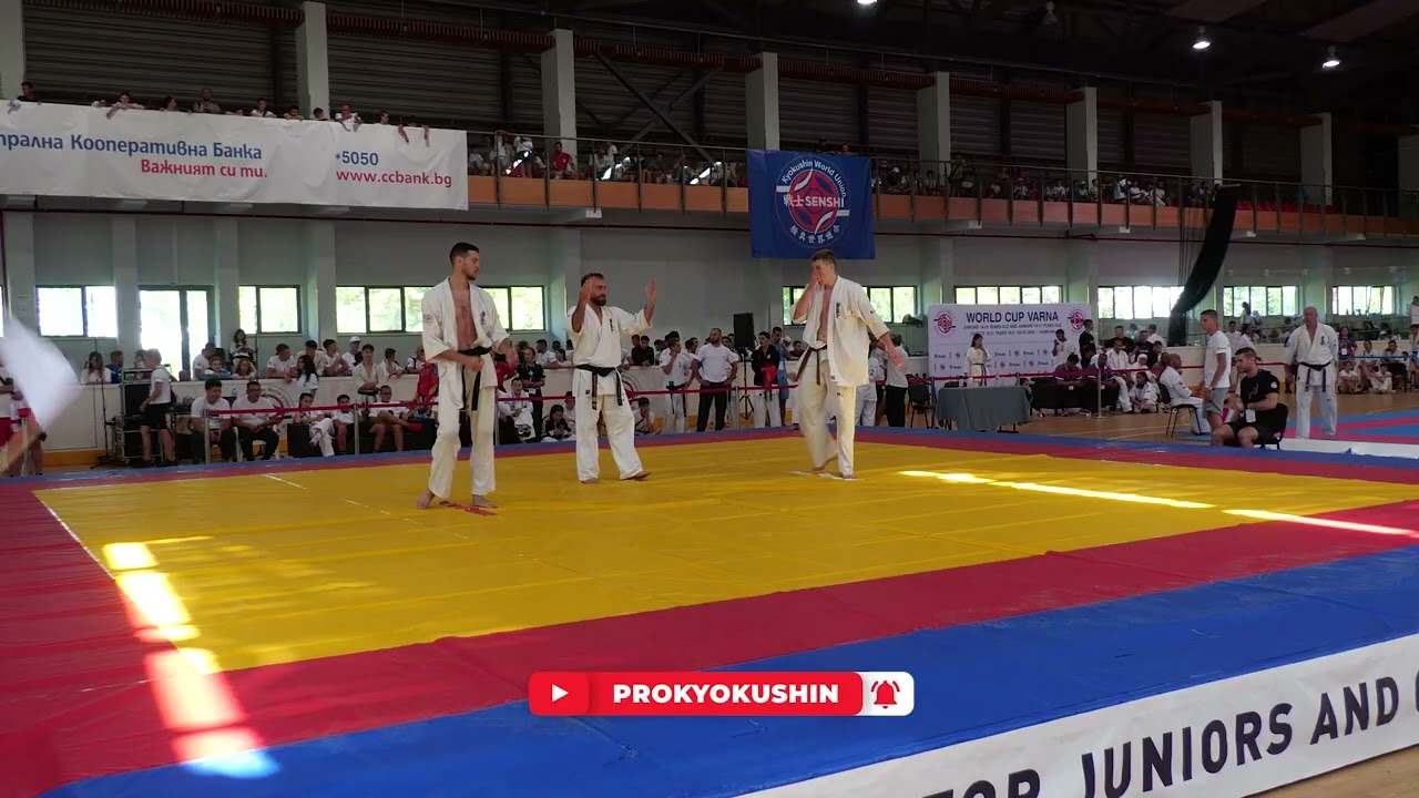 World Cup Varna: 1/4 +85 kg Viktor Mayer (Czech) vs Ron Cooper (Israel, aka)