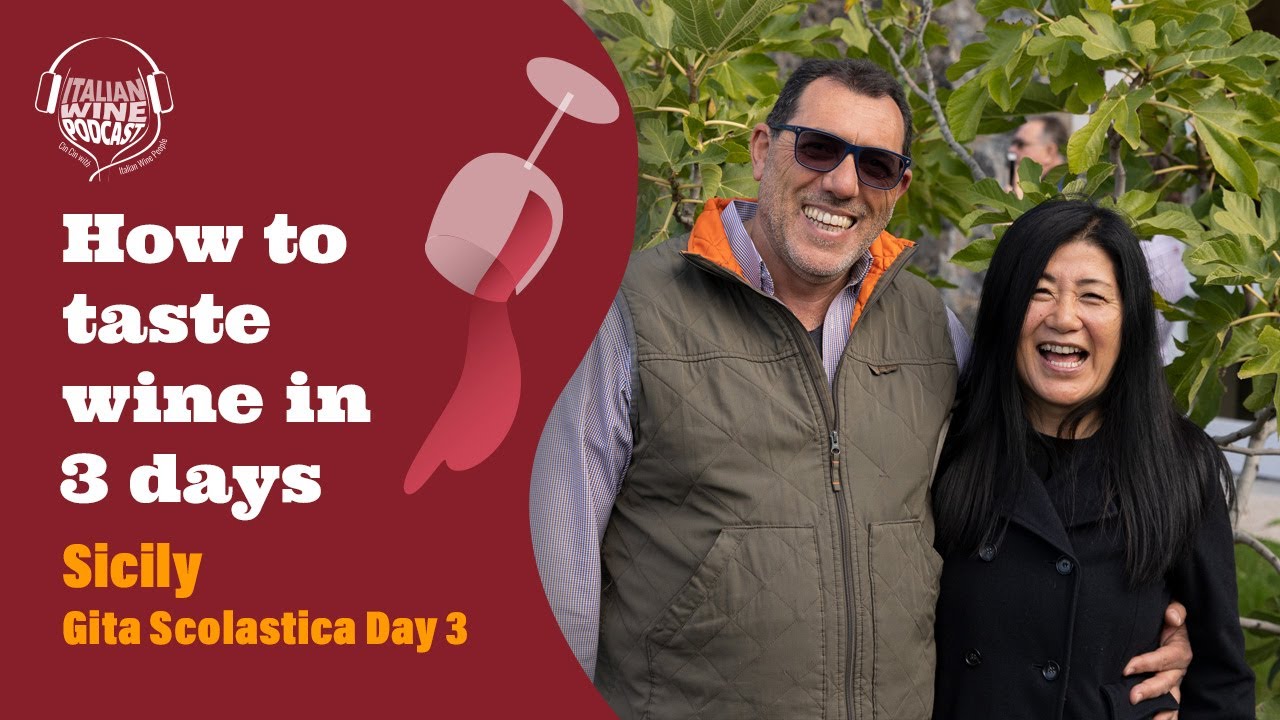 How to taste wine in 3 days - Sicily-Etna Adventure Pt. 3- Travel to Etna with Stevie Kim!