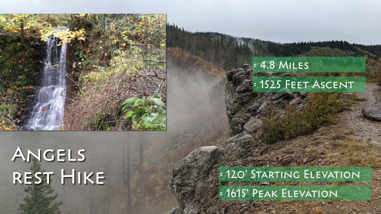 Angels Rest Hike Guide | Troutdale, Oregon