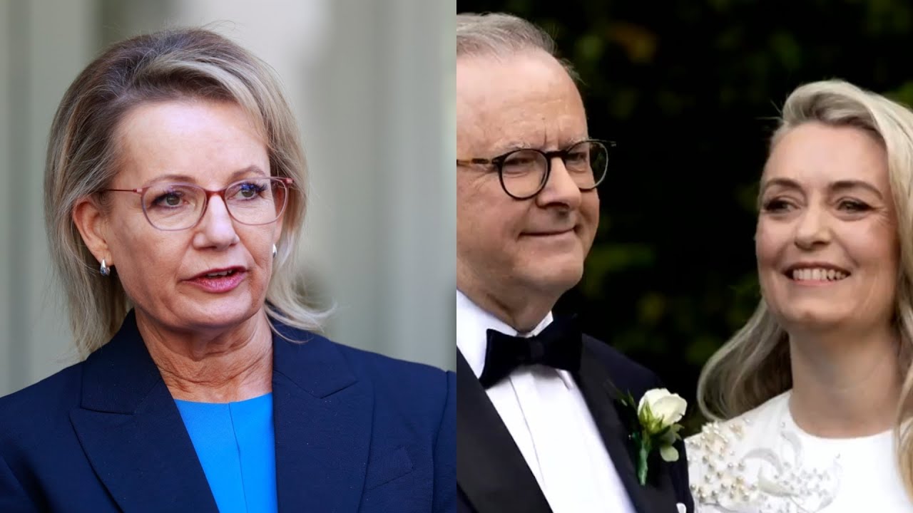 ‘Australia’s version of the royal wedding’: Sussan Ley weighs in on Albanese’s special day