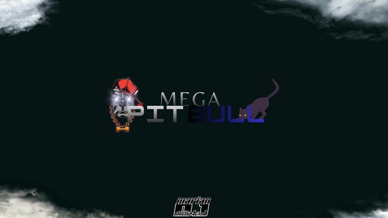 MEGA PITBULL   DJ WELLINTON MARIAN