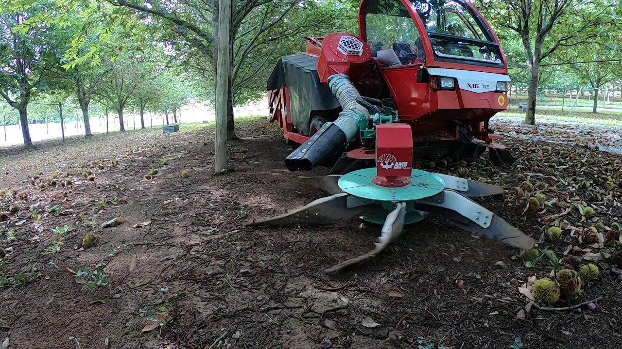 X16 ramasseuse Châtaigne / Chestnut harvesting machine / Cosechadoras de castanas