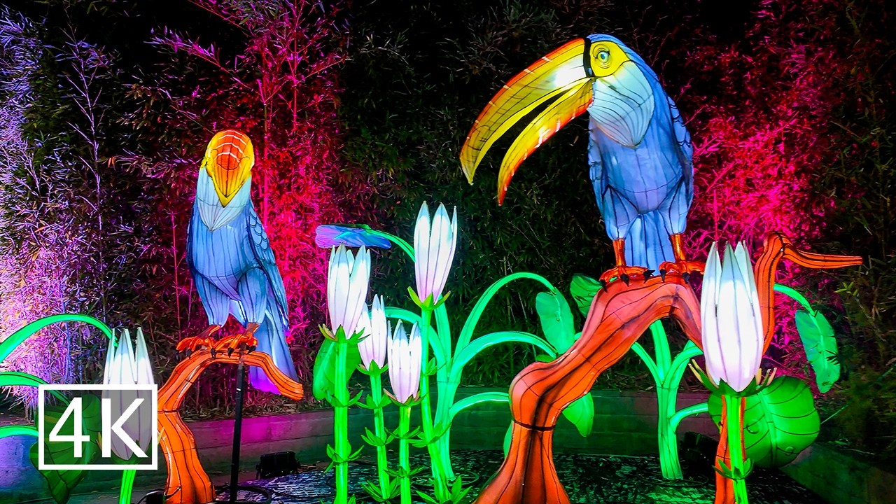 [4K] 🎄Christmas Lights at Los Angeles Zoo - Animals Aglow