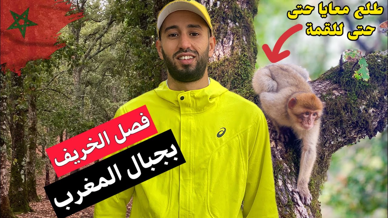 صعود قمة كربوع 1618 مترا والاستمتاع بأجواء فصل الخريف 🍂 | الحياة البرية بجبل بوهاشم