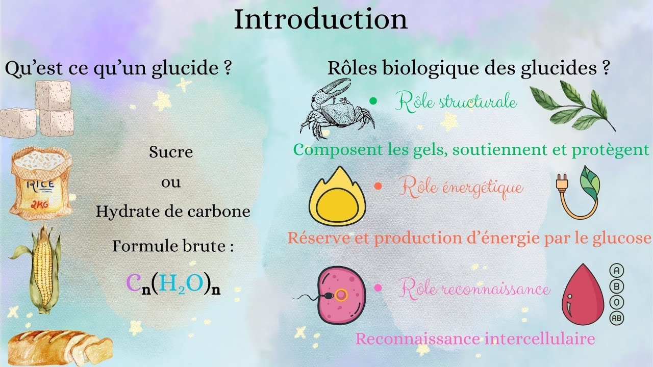 Biochimie | Glucides : oses et osides