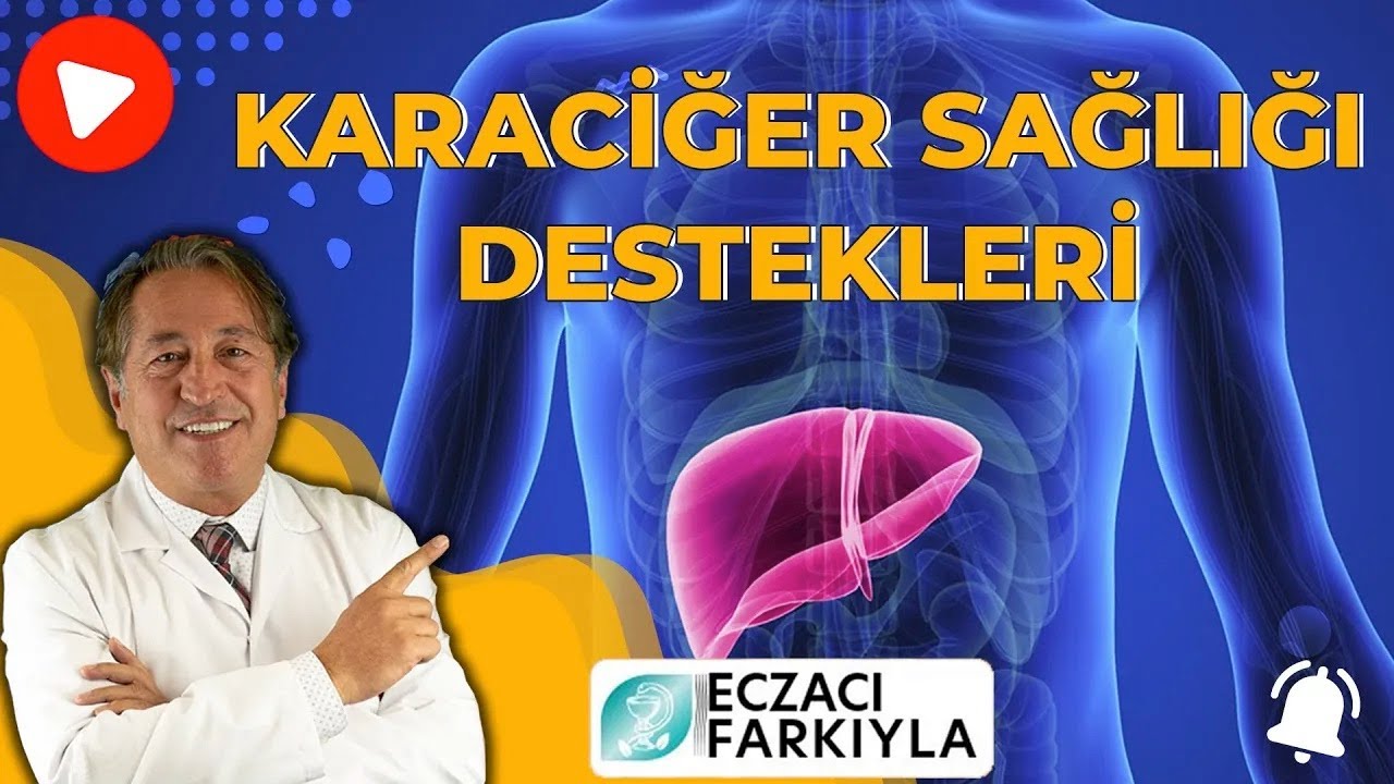 Karaciğer Sağlığının Önemi ve Doğal Destekleri Nelerdir