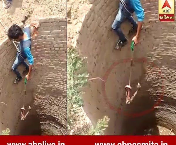 Cobra Rescue Operation Live Video