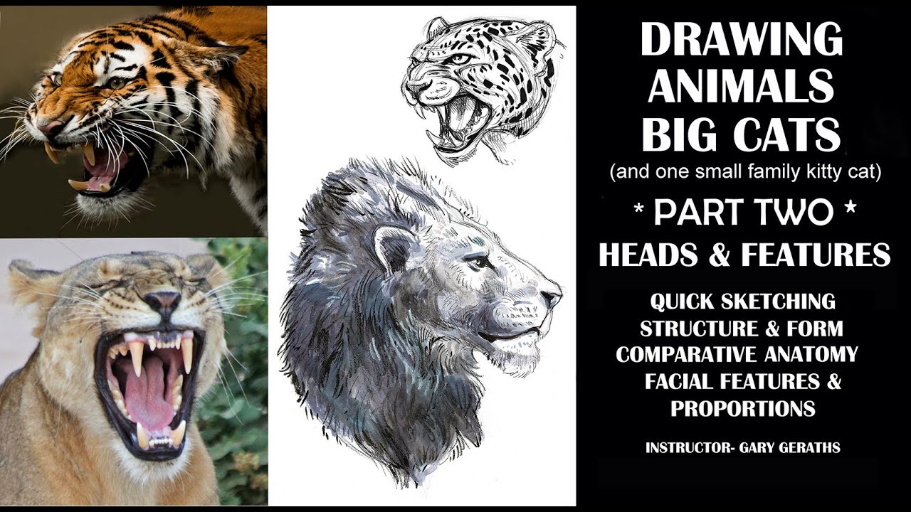 DRAWING ANIMALS - BIG & LITTLE CATS - PART 2 - LESSONS IN DESIGN & SKETCHING VALUE, TEXTURE & FORM