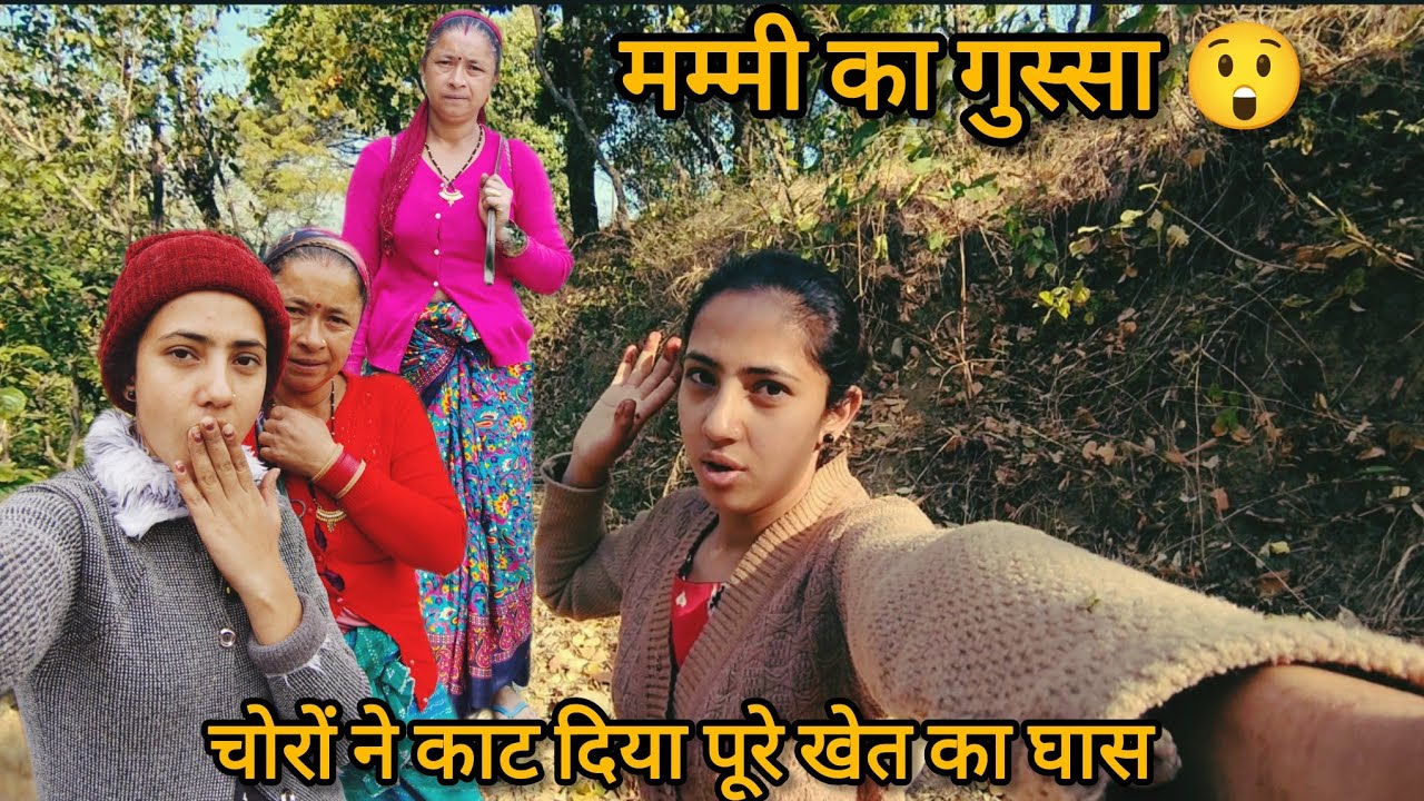 चोरों ने आज निकाल दिया पूरे खेत का घास 🥺खेत जाकर देखा आज कुछ है ही नहीं 😲#anjalikathaitvlog 