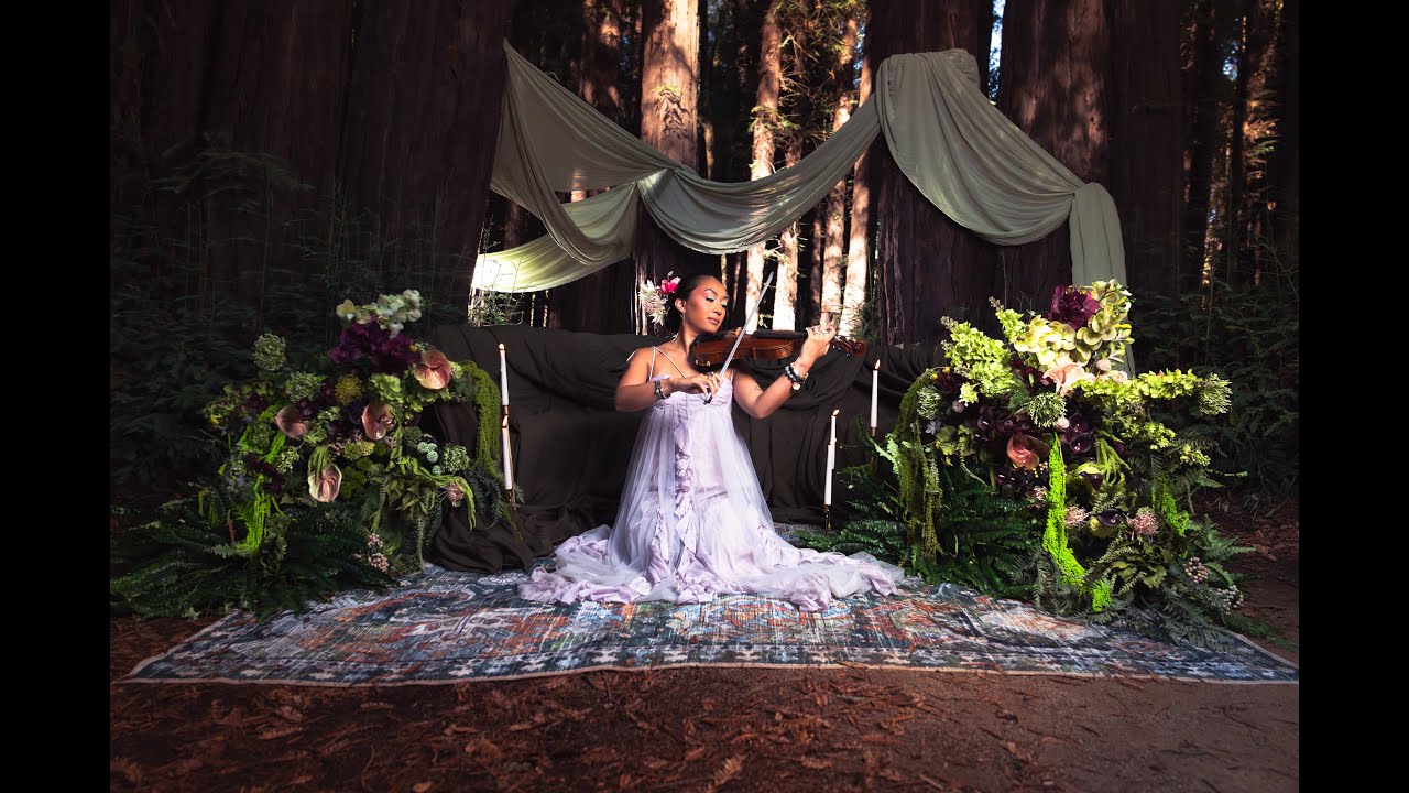 Time and Space ft. Tyler Reese by Rose Crelli Violin Official Music Video San Francisco Bay Area