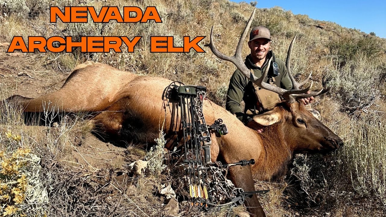 Nevada Archery Elk 