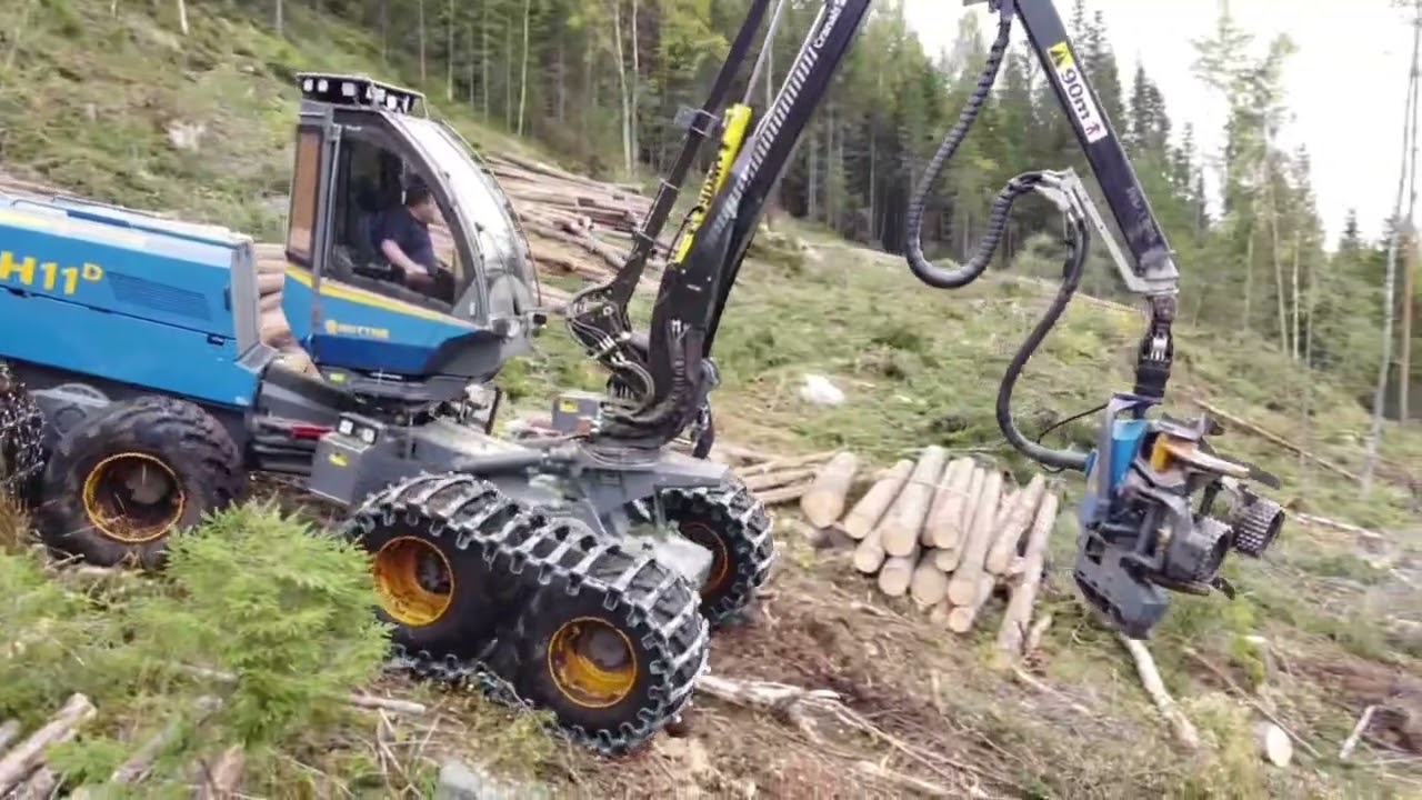 Rottne in action in the forrest