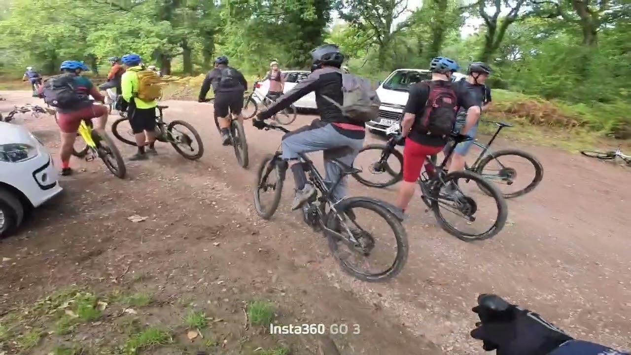 Wild Boar Chase. Forest of Dean 