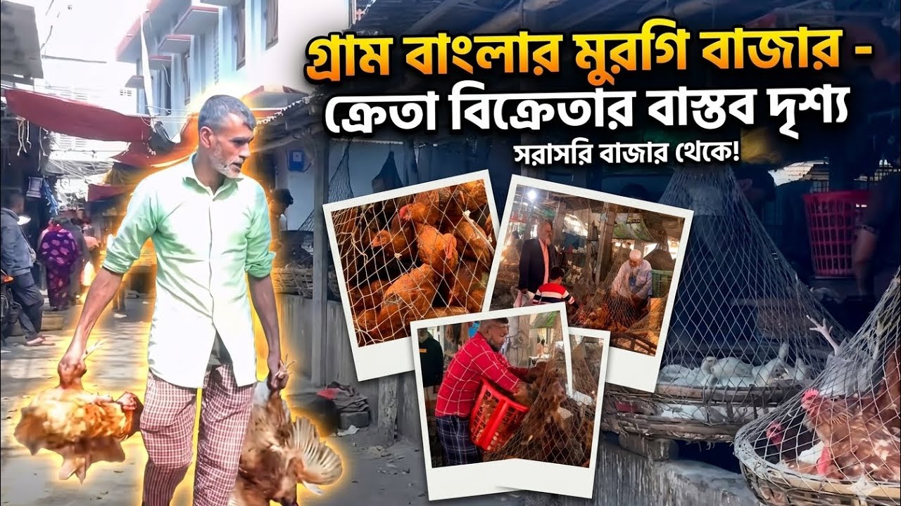 গ্রাম বাংলার মুরগি বাজার | ক্রেতা বিক্রেতার বাস্তব দৃশ্য 🐔 | Chicken Market | Chicken Market Life BD