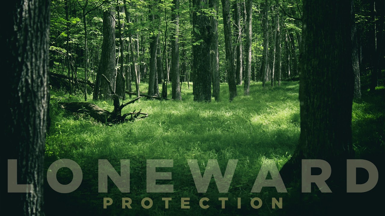 Loneward - Protection (2018)