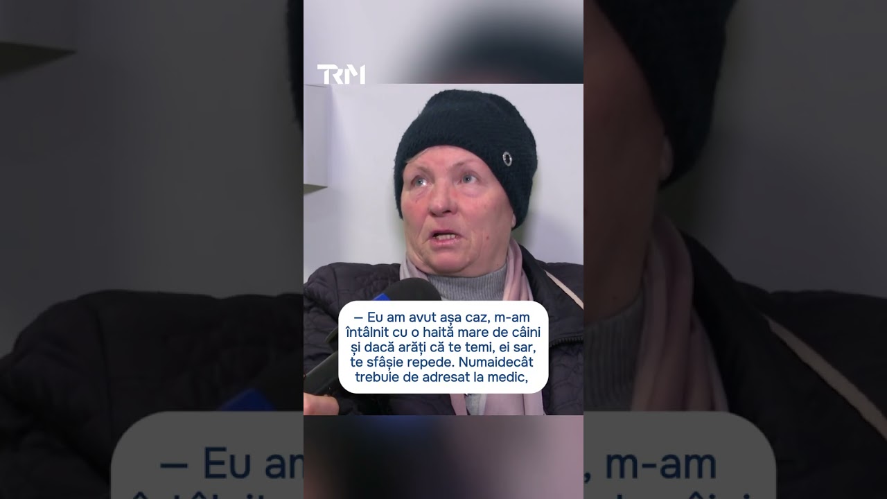 Peste 3.000 de chișinăuieni au nevoie de vaccin antirabic după atacuri ale câinilor