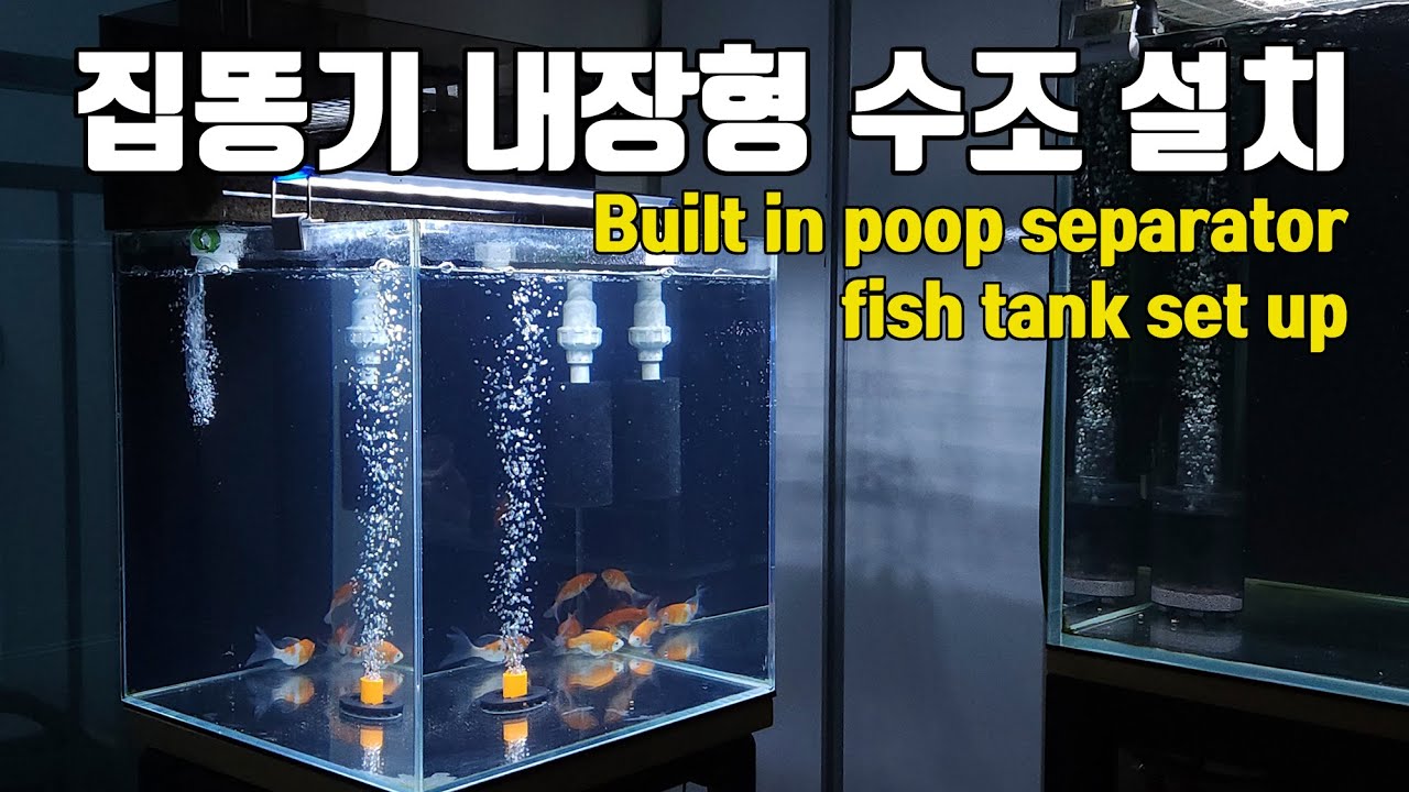 집똥기 내장형 유어 수조 설치하기 Built-in Poop Separator Fish Tank Set Up