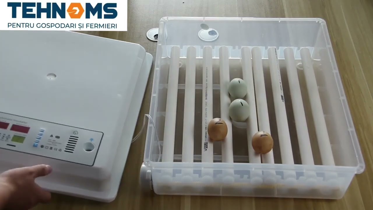 Incubator automat MS 64