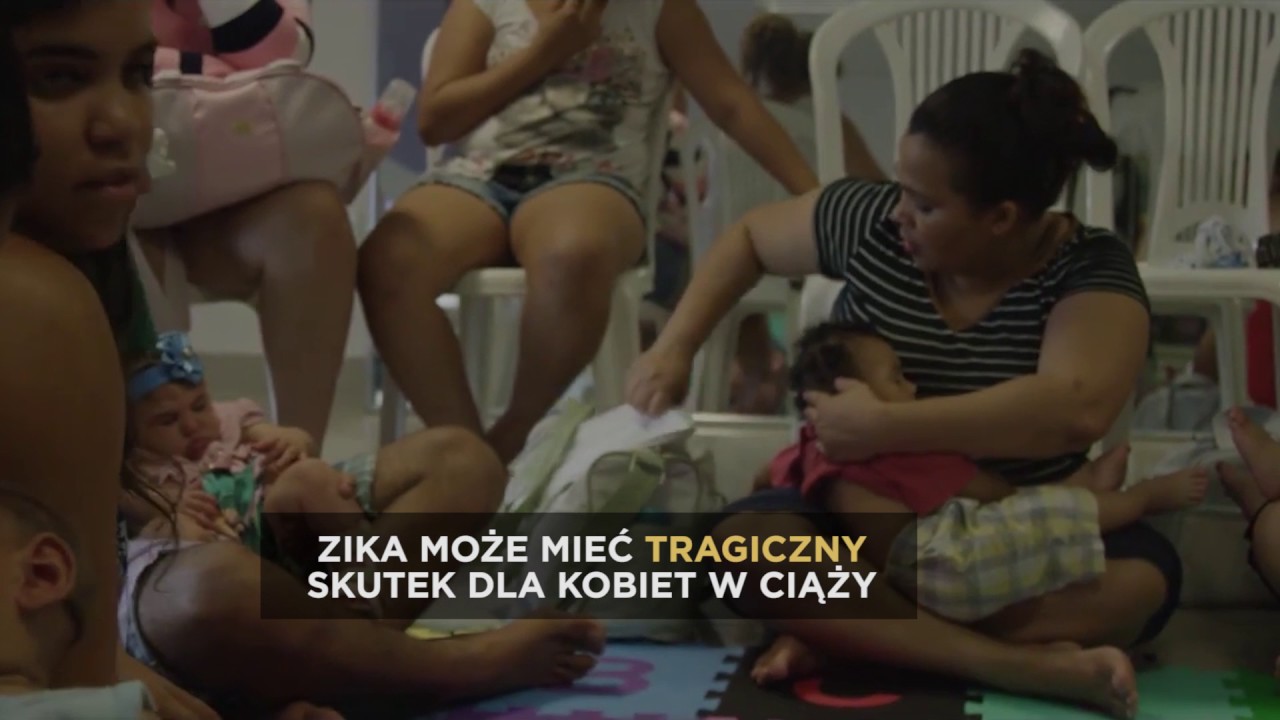 MOSQUITO - Zagrożenie wirusem Zika | Discovery Channel