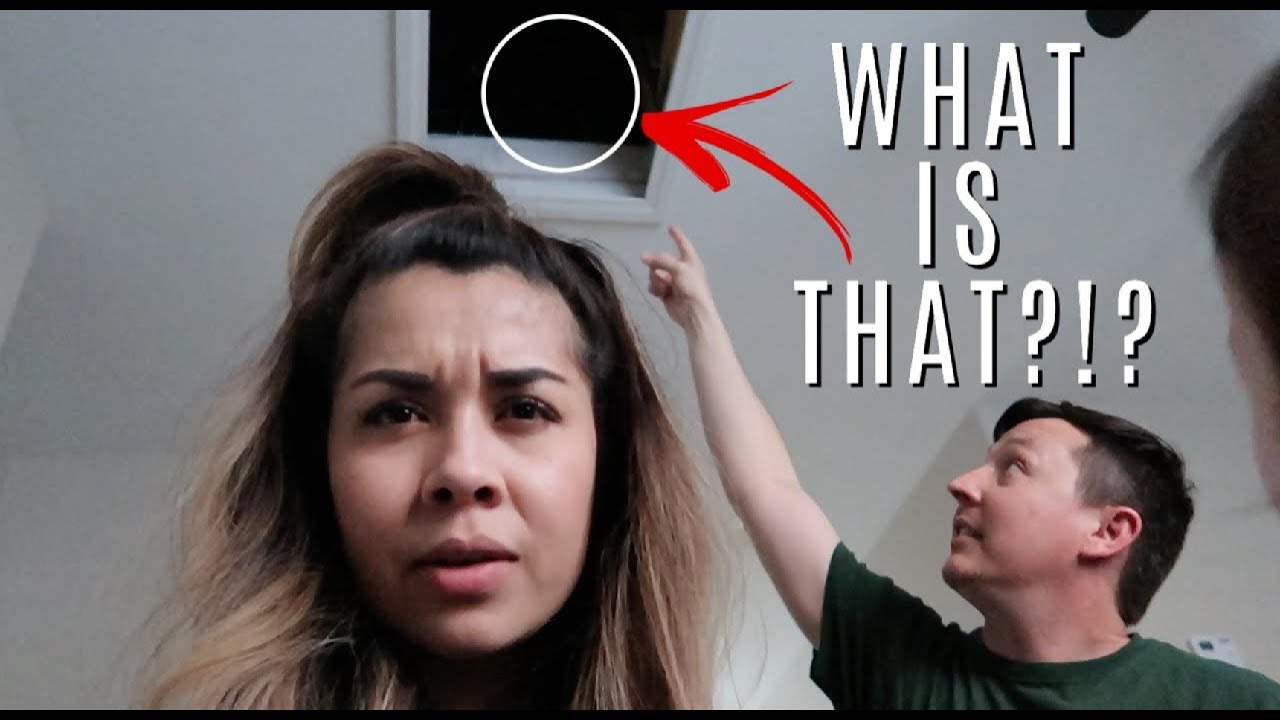 WE FOUND WHAT IN OUR ATTIC?!?