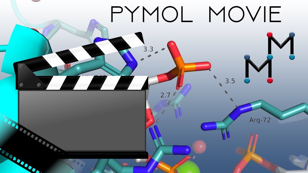 PyMOL: Давайте снимем ФИЛЬМ!
