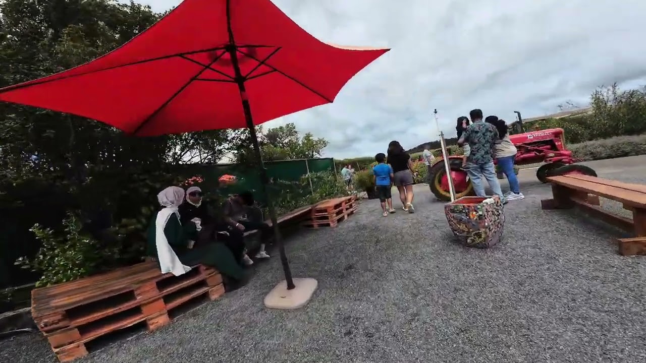Franklin farm (New Zealand)