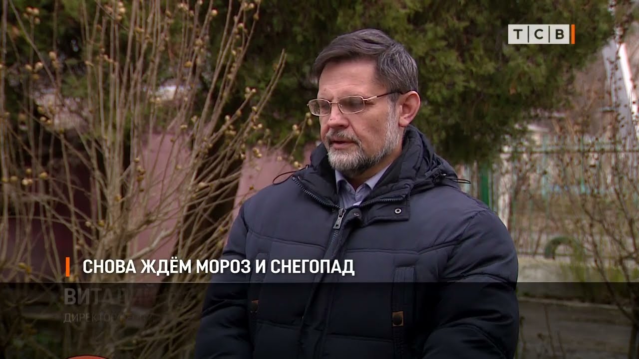 Снова ждём мороз и снегопад