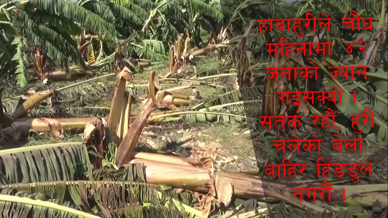 हुरी चलेको बेला सतर्क रहौँ,  बाहिर हिँडडुल नगरौँ || SURAKCHIT NEPAL BY KISHOR NIRAULA || 2077-02-11