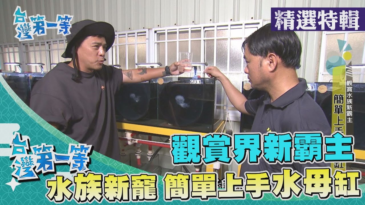 台灣第一等【水族新霸主 一條龍小丑魚樂園／全台水母養殖第一人 簡單上手水母缸】 _精選特輯