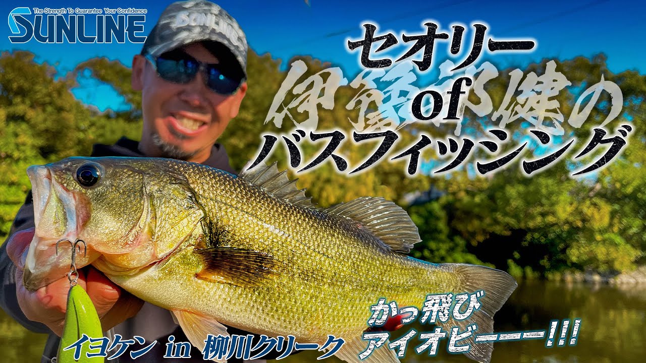 【かっ飛びアイオビーーー!!!】伊豫部健のセオリーofバスフィッシング in柳川クリーク
