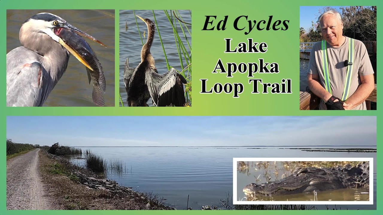 Ed Cycles Lake Apopka Loop Trail