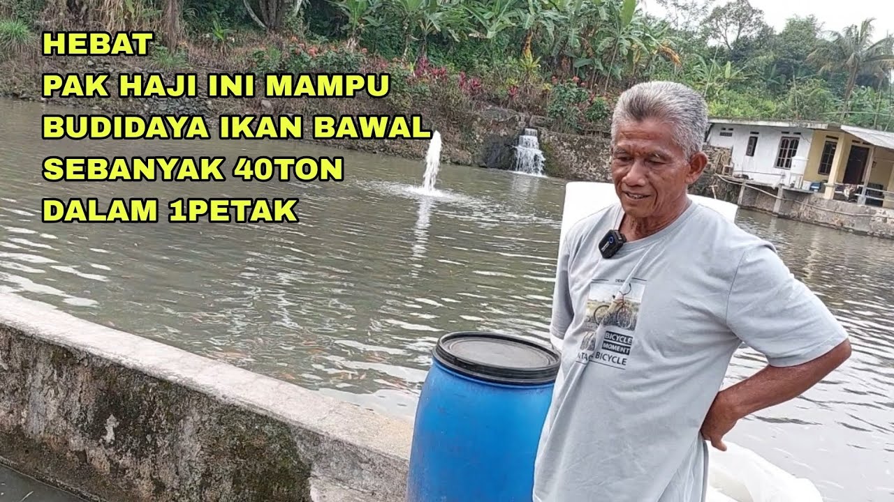 HEBAT, PAK HAJI INI MAMPU BUDIDAYA IKAN BAWAL SEBANYAK 40TON DALAM 1PETAK