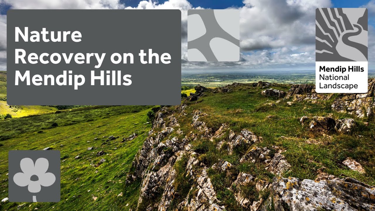Nature Recovery on the Mendip Hills National Landscape